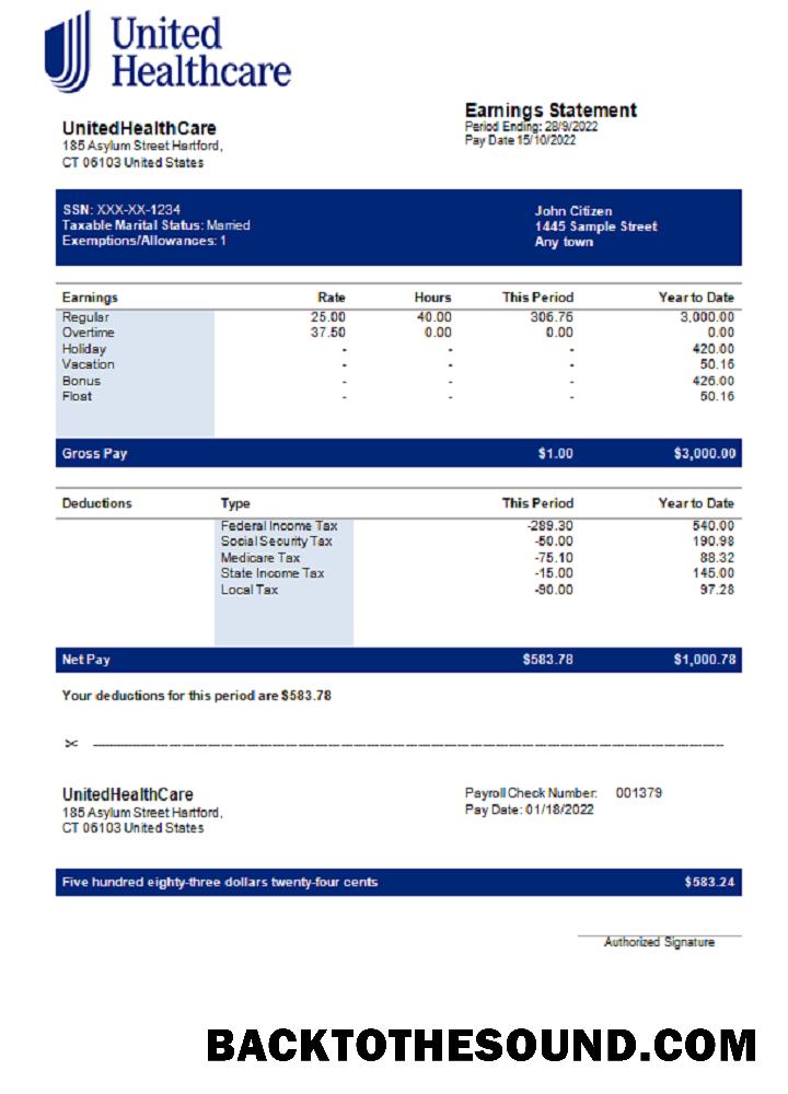 İndir ABD UnitedHealthCare managed care Şirket pay stub Örnek örnek