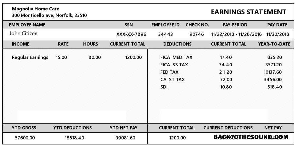 İndir ABD VIRGINIA Magnolia Home Care earning Hesap Özeti in Word and PDF Formatlar Örnek tasarım