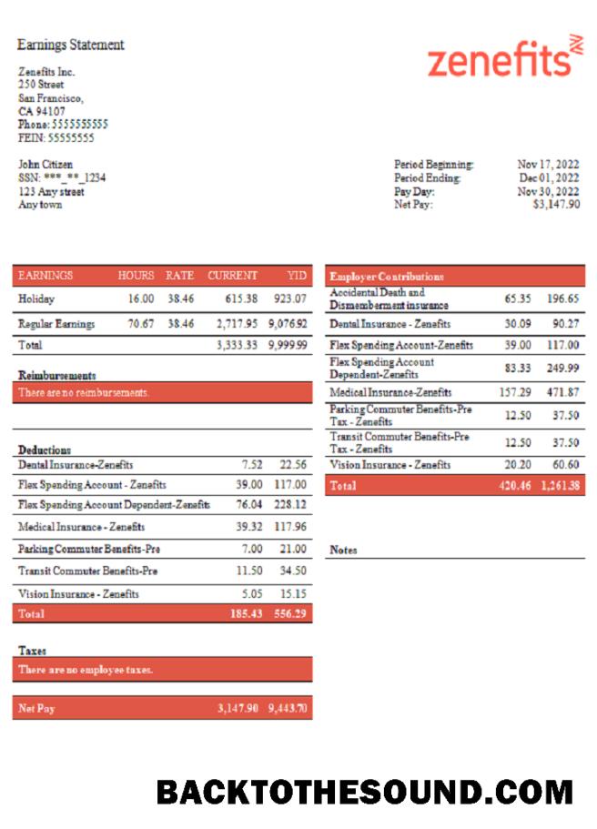 İndir ABD Zenefits Teknoloji Şirket pay stub Örnek şablon