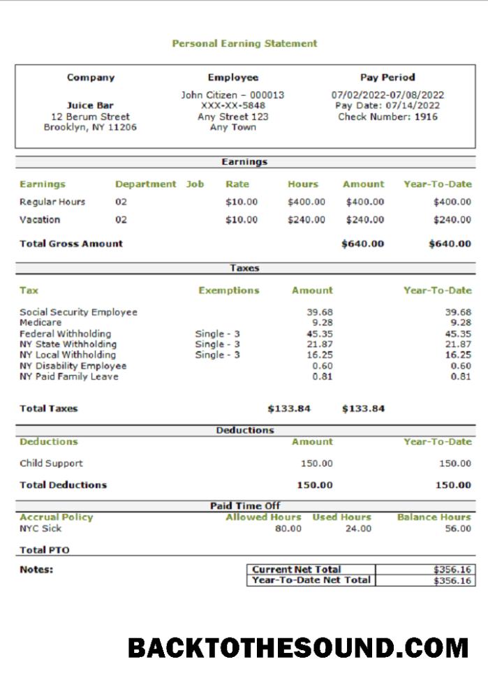 İndir ABD personal earning Hesap Özeti Örnek tasarım