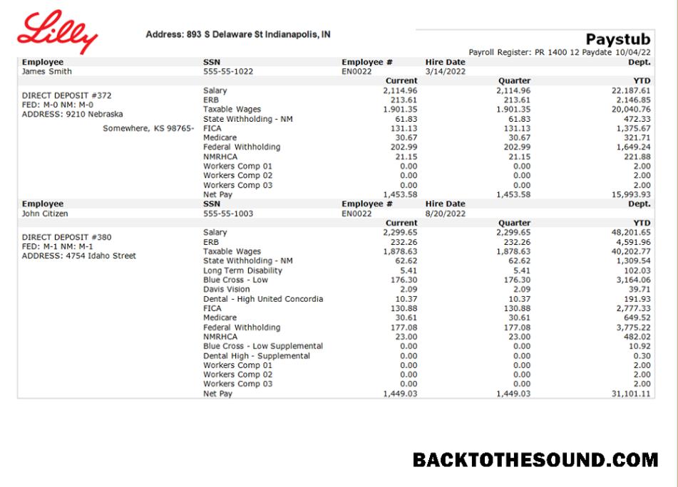 İndir ABD pharmaceutical Şirket earnings Hesap Özeti Örnek tasarım