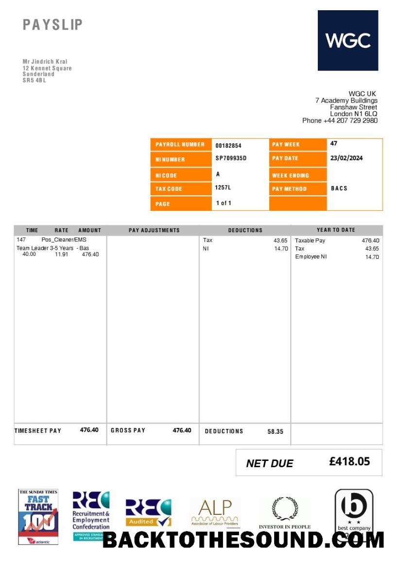 İndir Birleşik Krallık WGC cleaning Hizmet payslip in Word and PDF Formatlar.PDF, 1 Örnek örnek