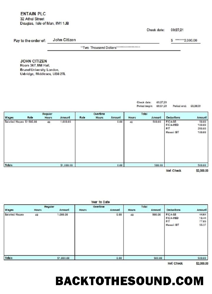 İndir Birleşik Krallık Pay Stub Word Örnek ön izleme