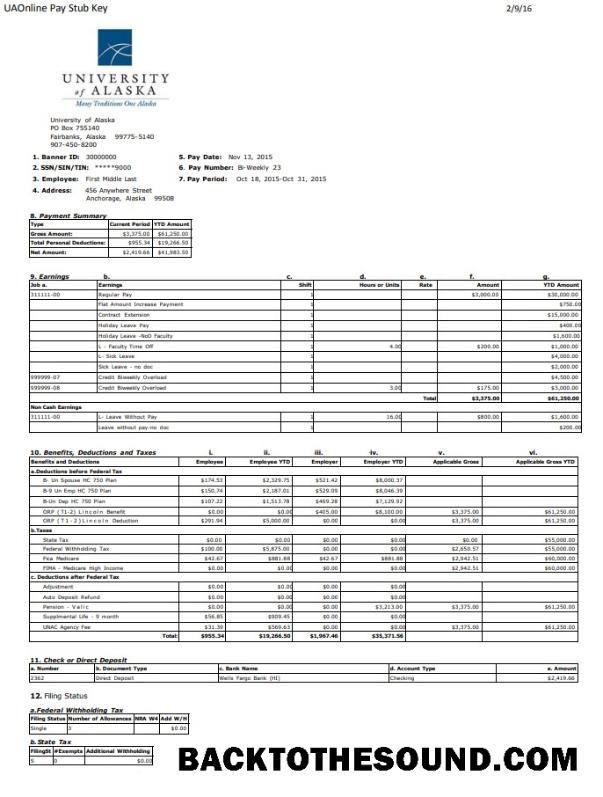 İndir üniversite of Alaska pay stub Word and PDF Örnek tasarım