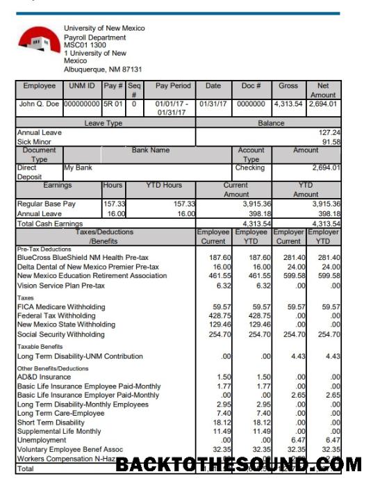 İndir üniversite of Yeni Meksika pay stub Word and PDF Örnek örnek