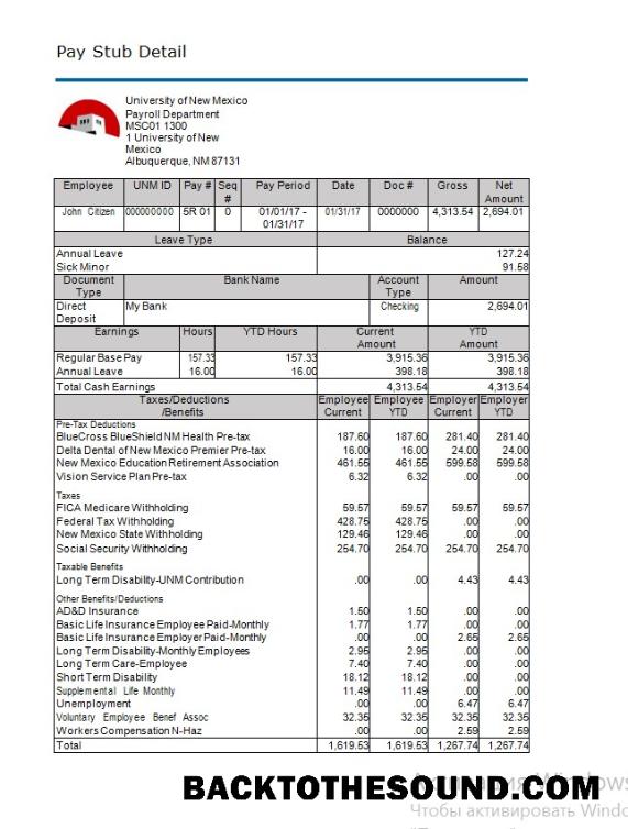 İndir üniversite of Yeni Meksika paystub in Word and PDF Formatlar Örnek örnek