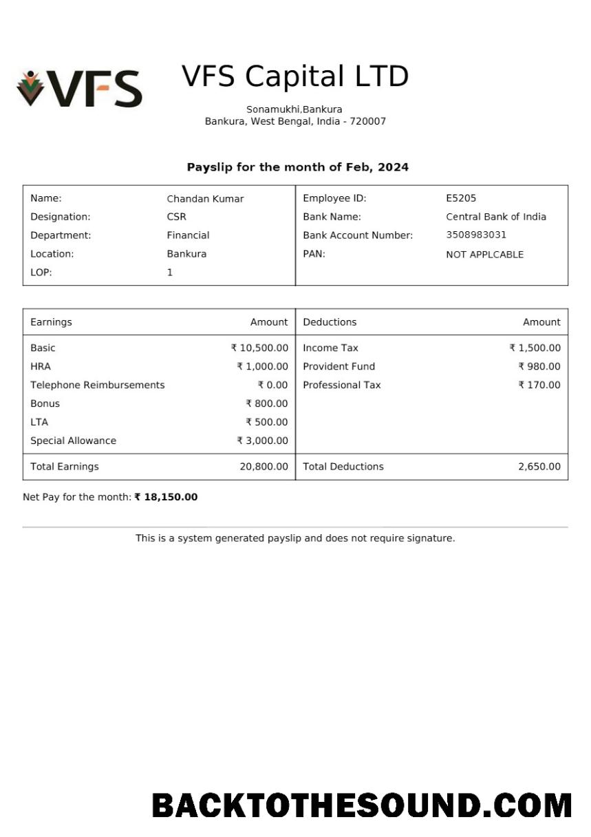 İndir VFS Capital payslip in Word and PDF Formatlar.PDF, 1 Örnek taslak