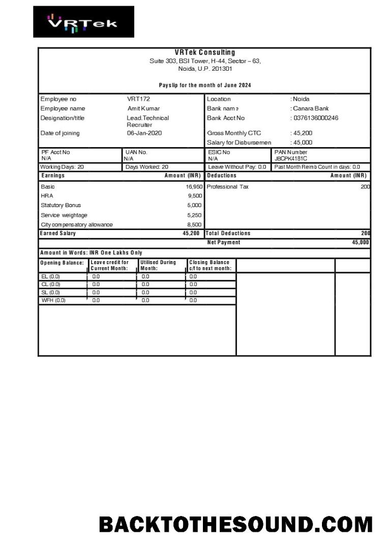 İndir VRTek Consulting payslip in Word and PDF Formatlar.PDF, 1 Örnek şablon