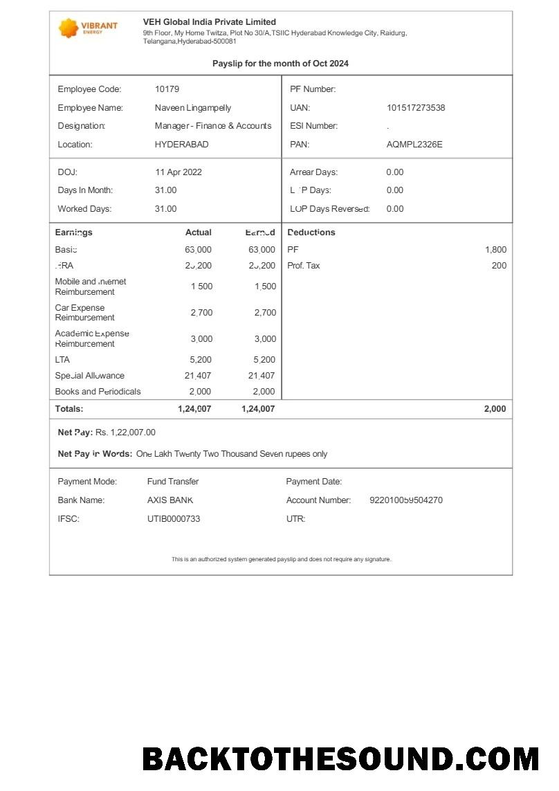 İndir Vibrant Energy VEH Global Hindistan payslip in Word and PDF Formatlar.PDF, 1 Örnek taslak