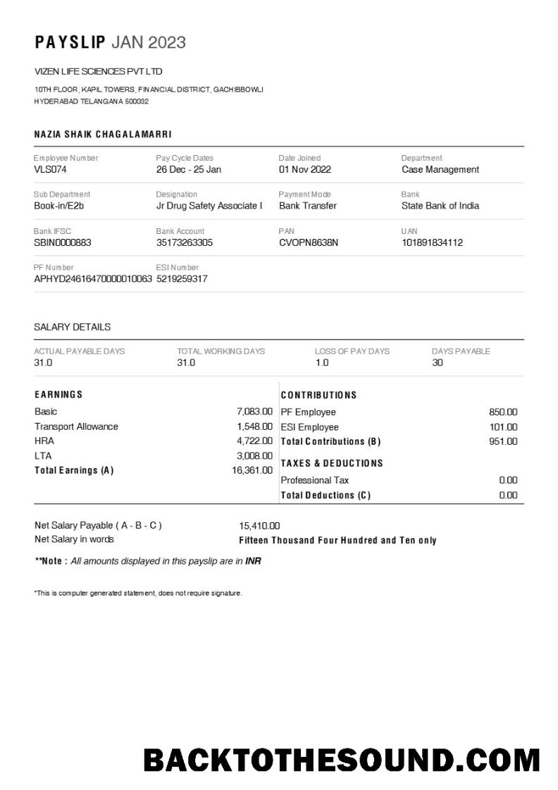 İndir Vizen Life Sciences pharmaceutical Şirket payslip in Word and PDF Formatlar.PDF, 1 Örnek şablon