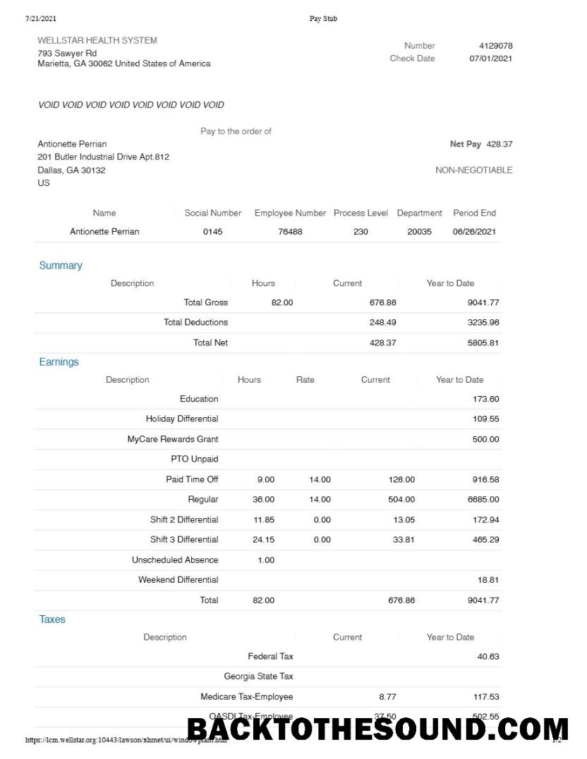 İndir WELLSTAR Sağlık Sistem pay stub in Word and PDF Formatlar.PDF, 1 Örnek ön izleme