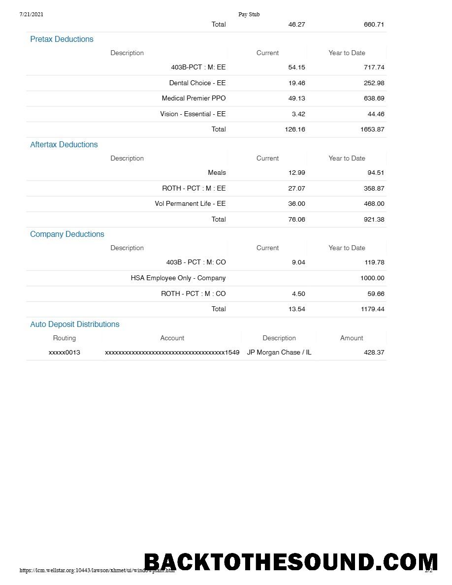 İndir WELLSTAR Sağlık Sistem pay stub in Word and PDF Formatlar.PDF, 2 Örnek örnek