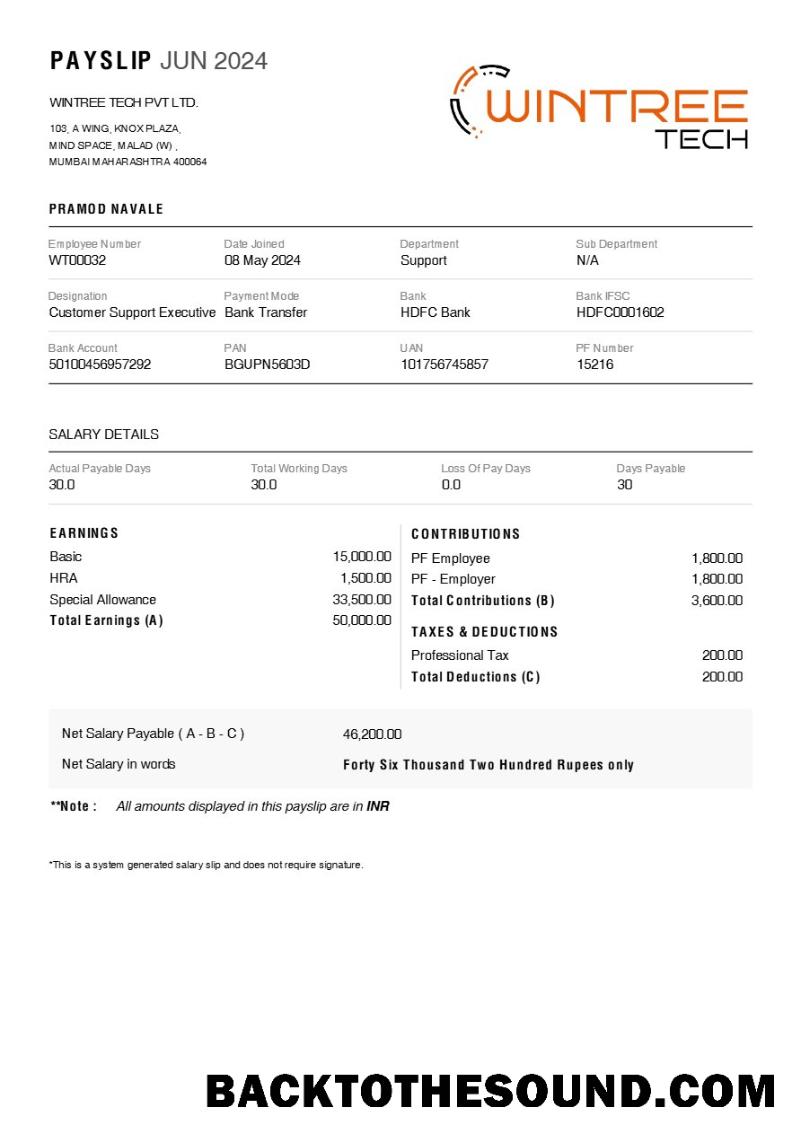 İndir Wintree Tech payslip in Word and PDF Formatlar.PDF, 1 Örnek örnek