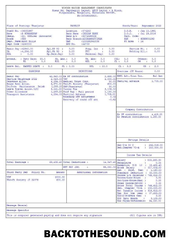 İndir Wisdom Bridge Management Consultants payslip in Word and PDF Formatlar.PDF, 1 Örnek taslak