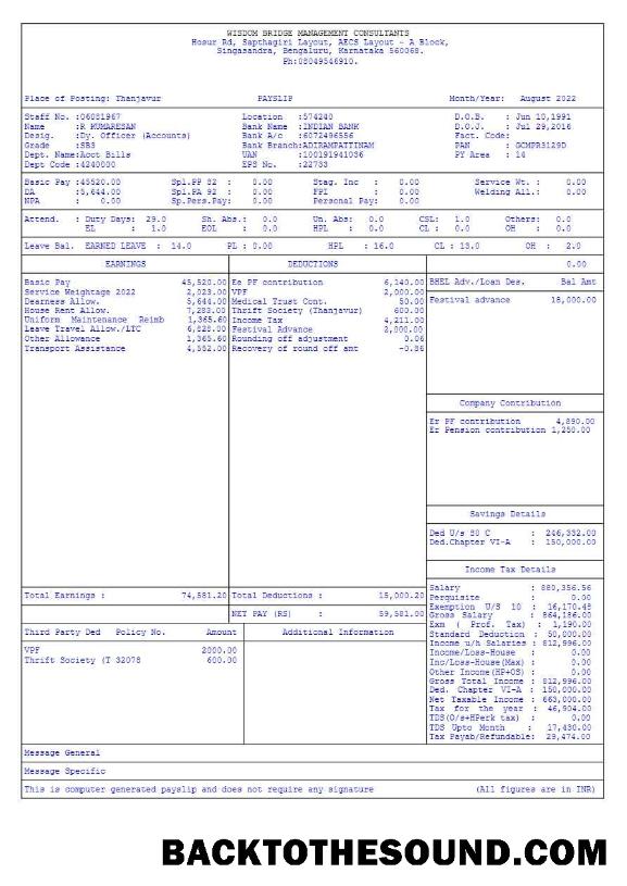 İndir Wisdom Bridge Management Consultants payslip in Word and PDF Formatlar.PDF, 2 Örnek örnek