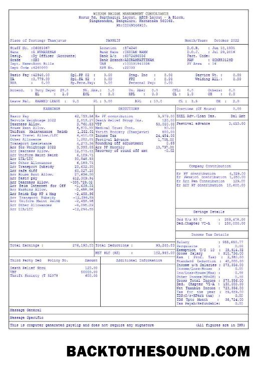 İndir Wisdom Bridge Management Consultants payslip in Word and PDF Formatlar.PDF, 5 Örnek tasarım