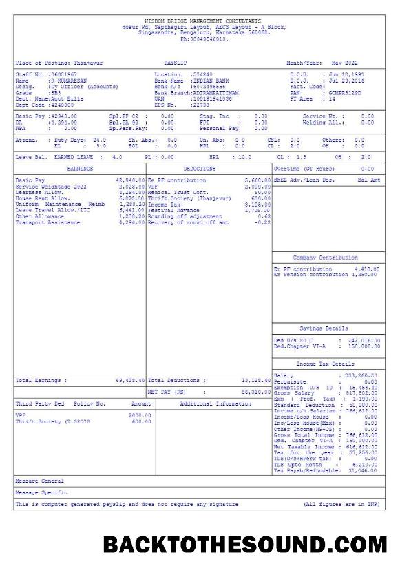 İndir Wisdom Bridge Management Consultants payslip in Word and PDF Formatlar.PDF, 6 Örnek taslak