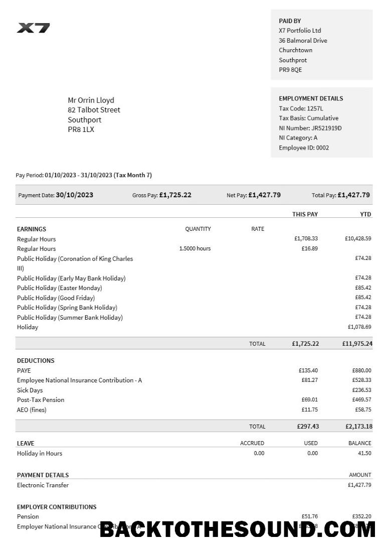 İndir X7 Portfolio payslip in Word and PDF Formatlar.PDF, 1 Örnek taslak