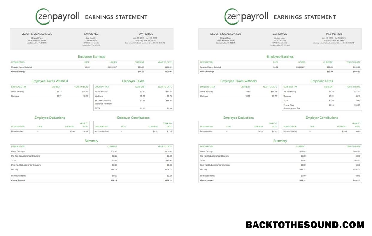İndir Zenpayroll Earnings Hesap Özeti Örnek örnek