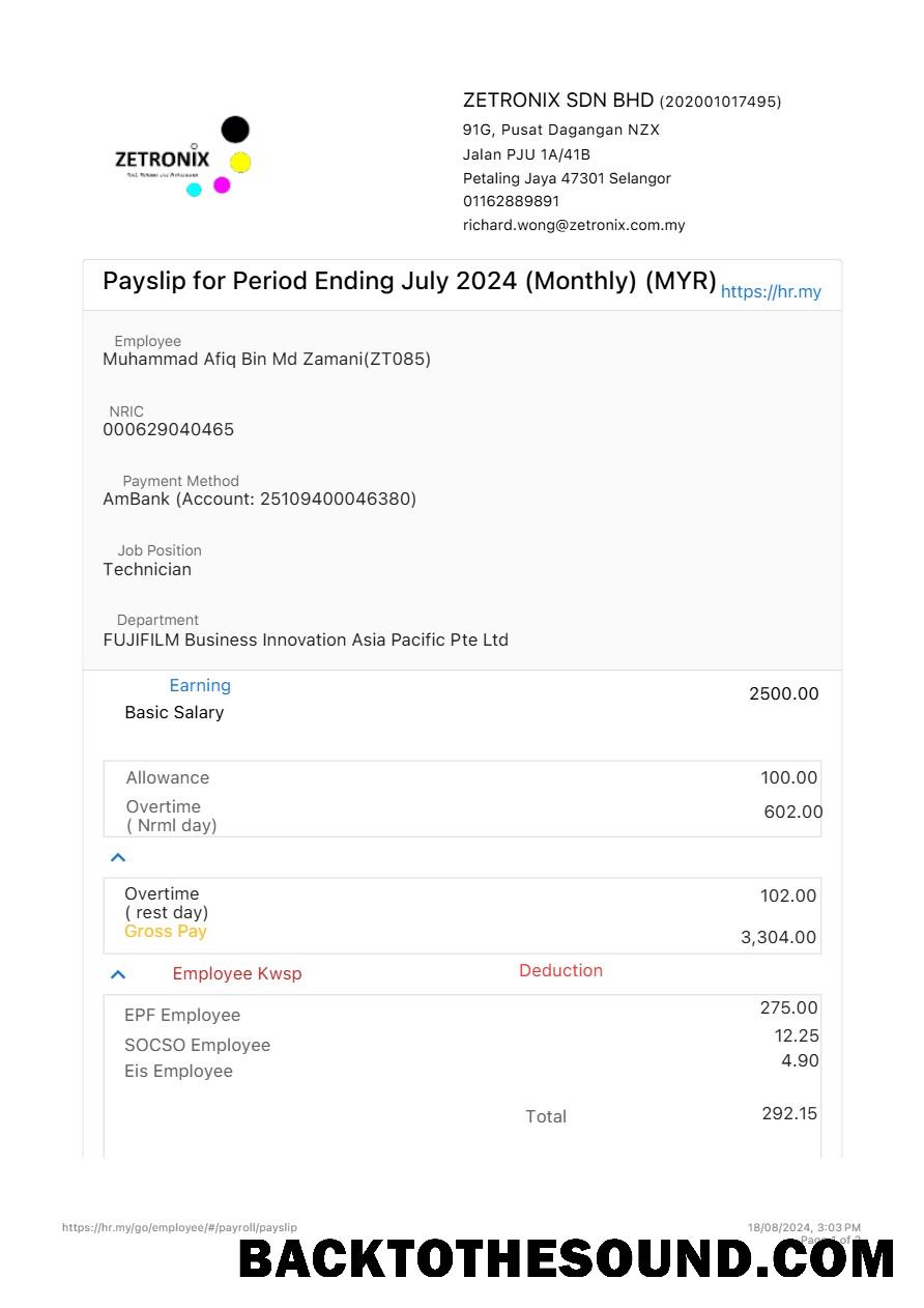 İndir Zetronix payslip in Word and PDF Formatlar.PDF, 1 Örnek taslak