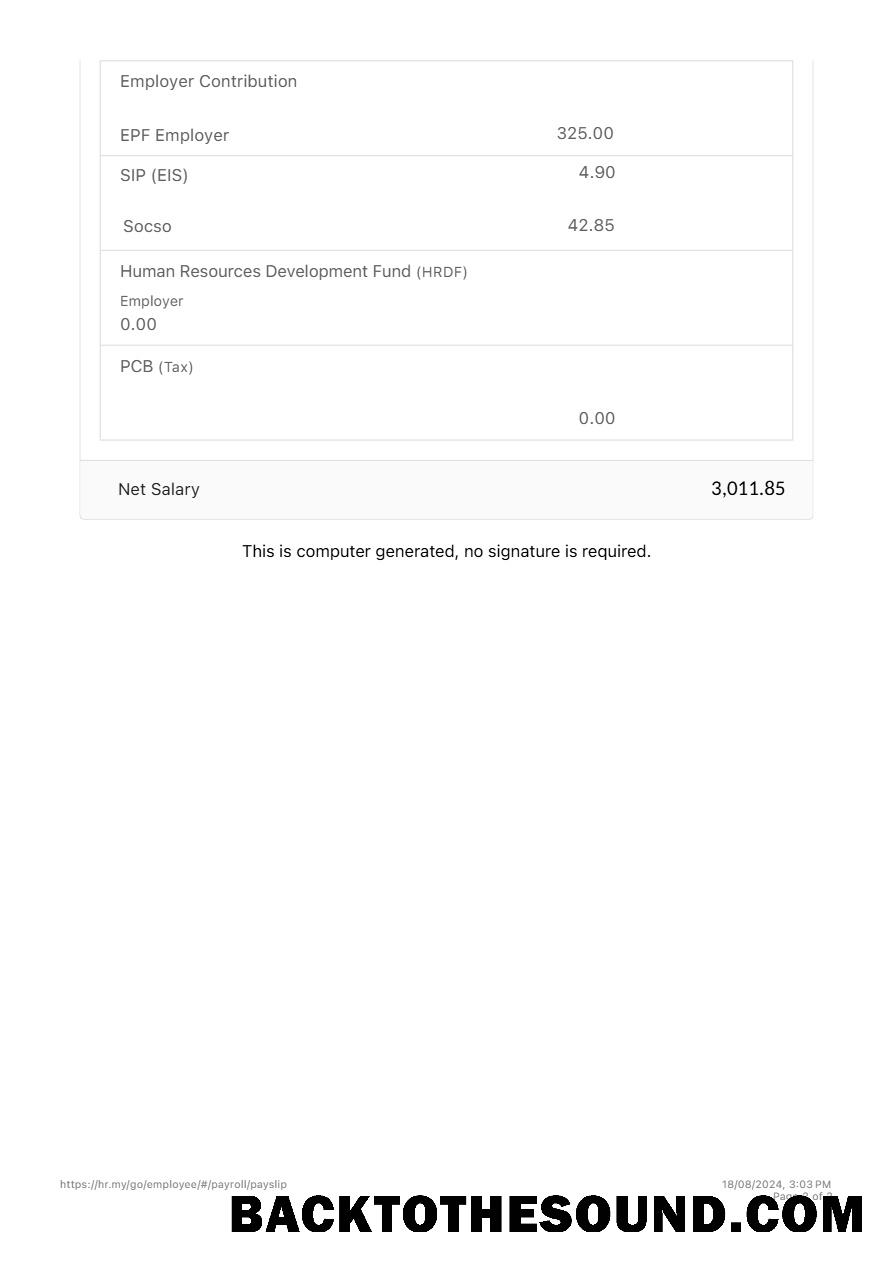 İndir Zetronix payslip in Word and PDF Formatlar.PDF, 2 Örnek ön izleme