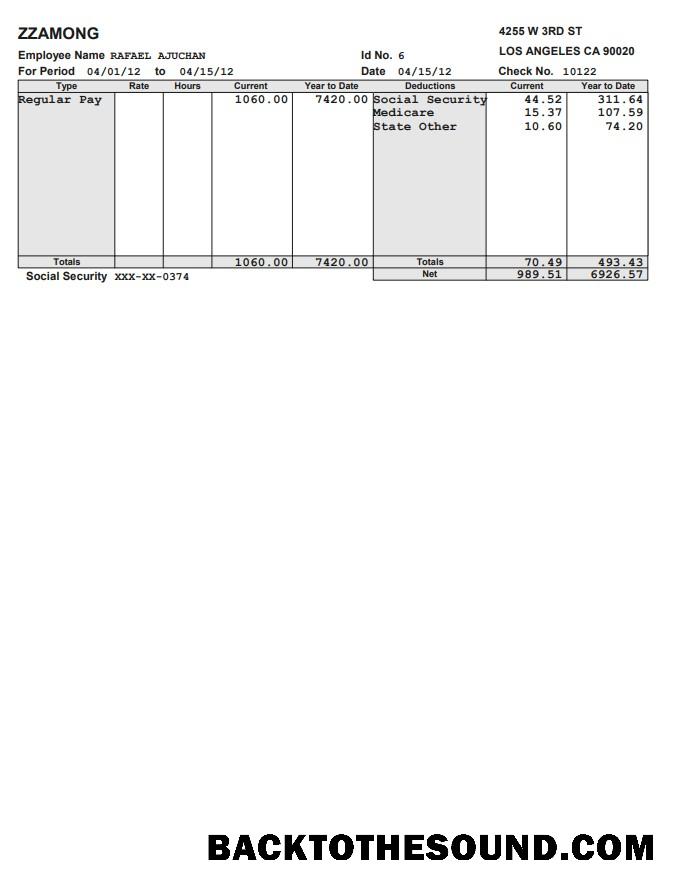 İndir Zzamong Şirket pay stub in PDF and Word Format Örnek tasarım