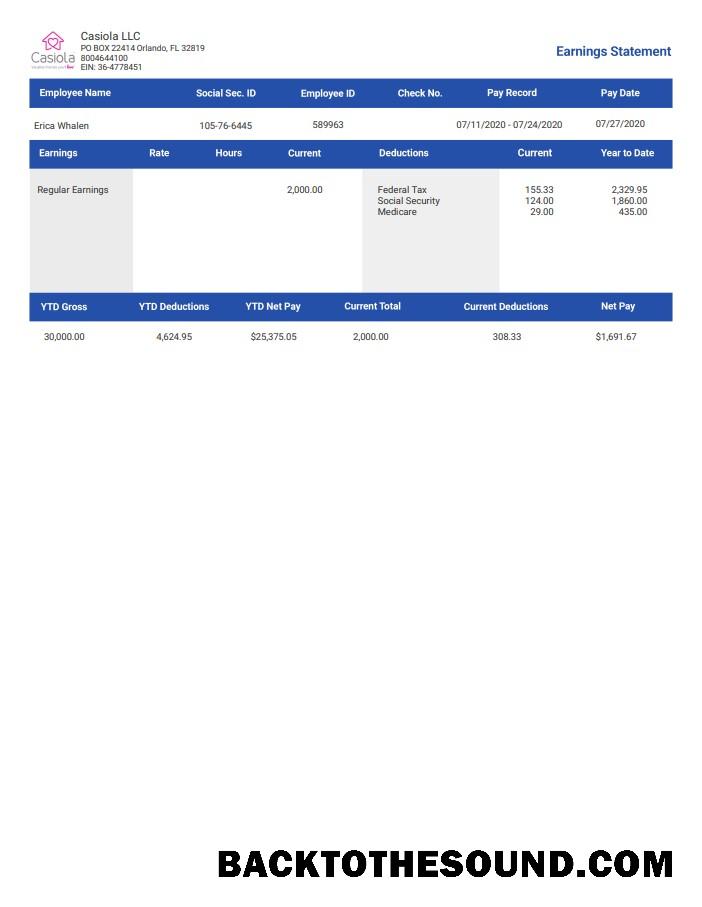 İndir casiola llc earnings Employee Paystub Örnek ön izleme