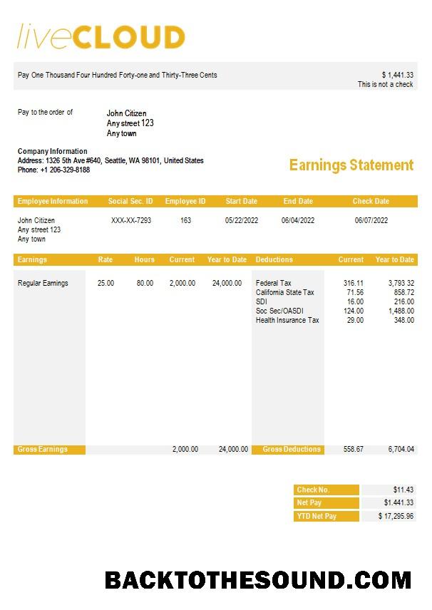 İndir cloud Depolama paystub in Word and PDF Formatlar Örnek taslak