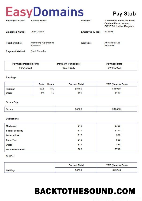 İndir domain name kayıt Şirket payslip in Word and PDF Formatlar Örnek taslak