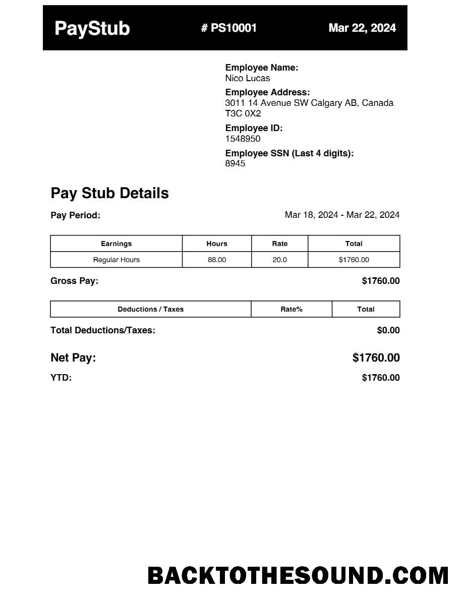 İndir earnings pay stub in Word and PDF Formatlar.PDF, 1 Örnek taslak