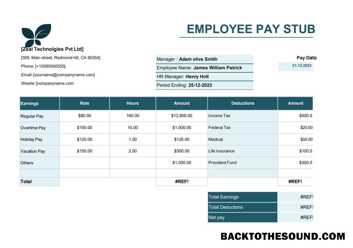 Profesyonel İndir employee pay stub Word and PDF Şablon, Sürüm 5 Örnek