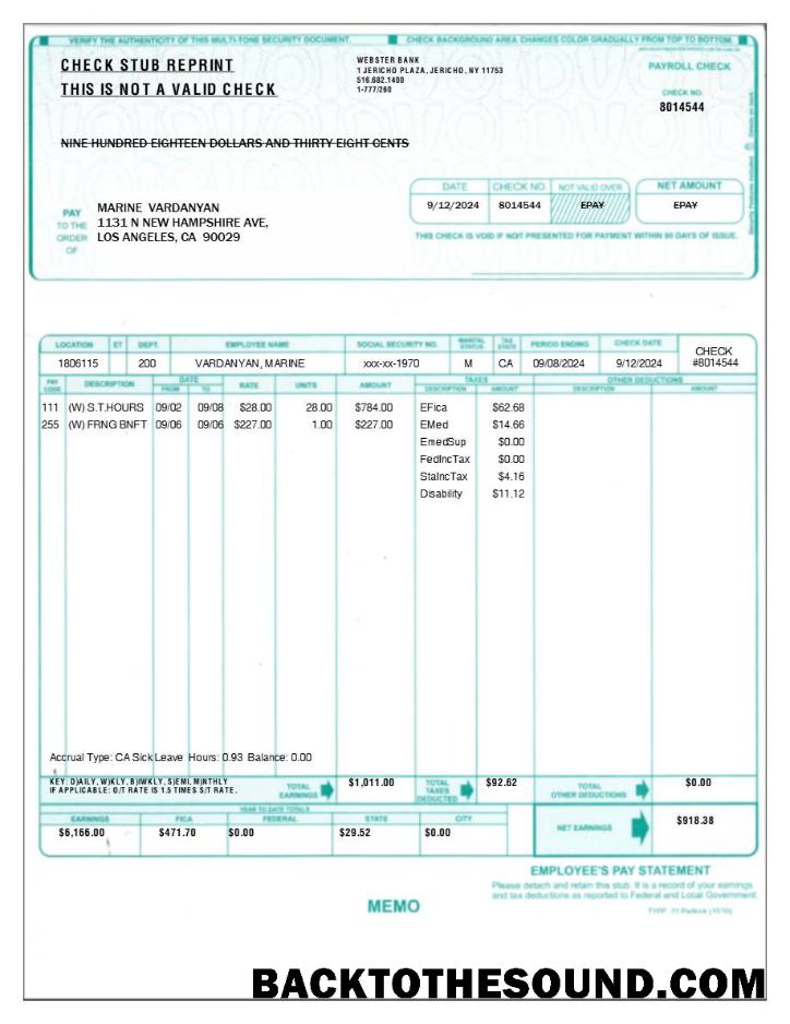 İndir employee's pay Hesap Özeti in Word and PDF Formatlar.PDF, 1 Örnek taslak