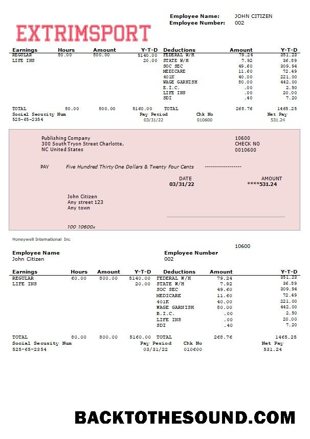 İndir extrim Spor Şirket fully Düzenlenebilir earning Hesap Özeti in Word and PDF Formatlar Örnek tasarım