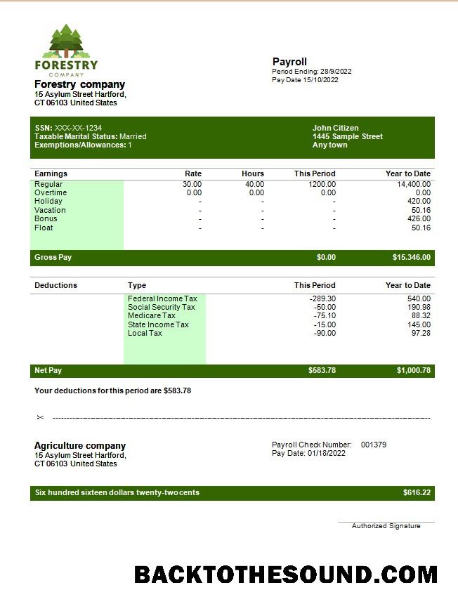 İndir forestry Şirket payslip in Word and PDF Formatlar Örnek taslak