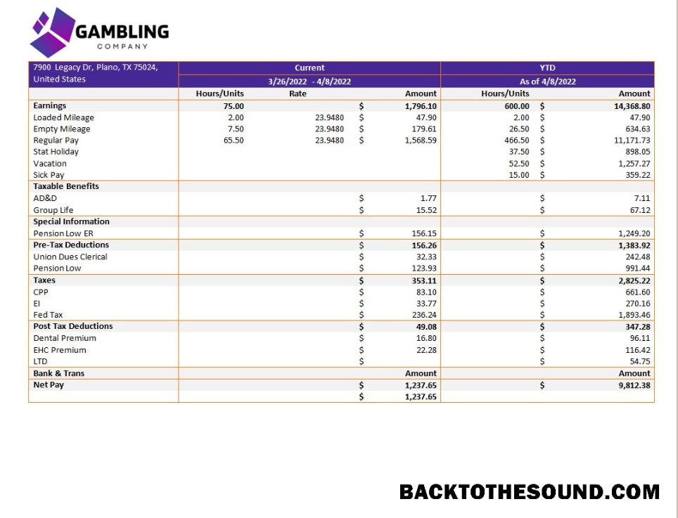 İndir gambling Şirket pay stub in Word and PDF Formatlar Örnek ön izleme