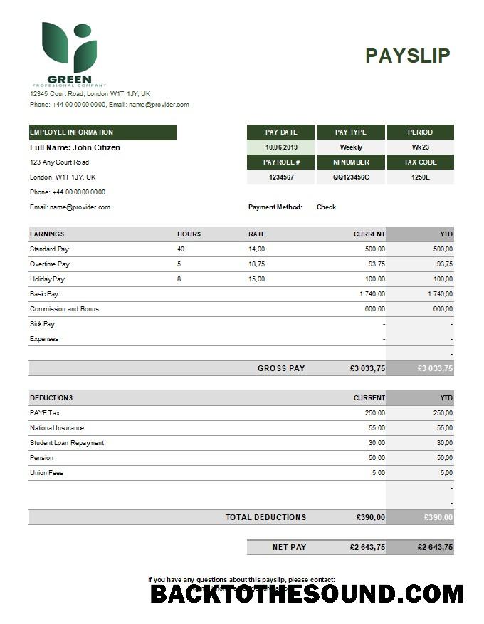 İndir yeşil industry earning Hesap Özeti in Excel and PDF Formatlar Örnek örnek