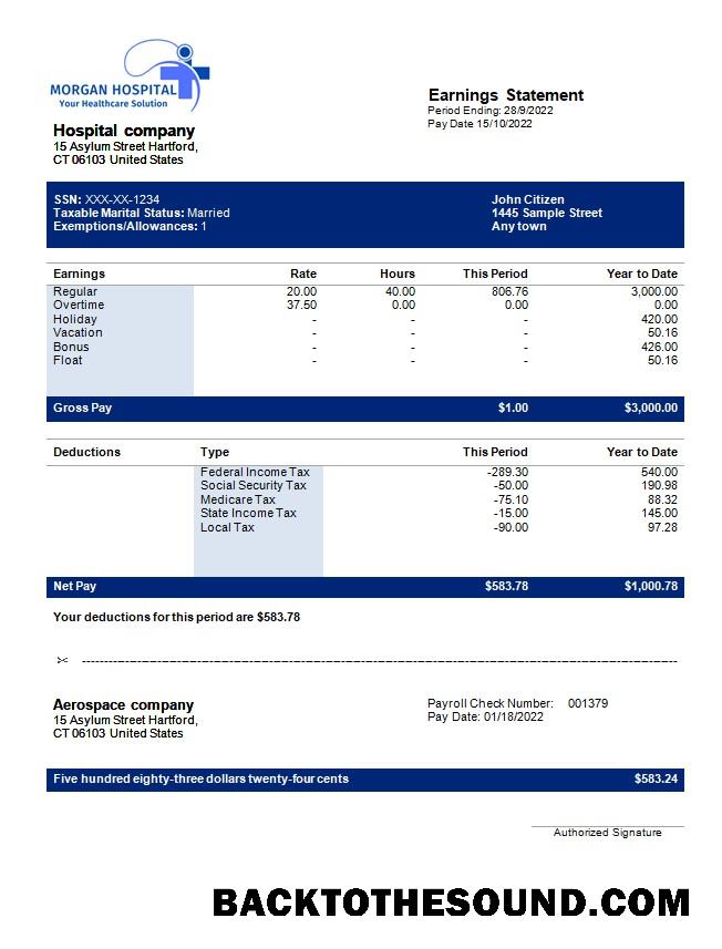 İndir hospital Şirket earning Hesap Özeti in Word and PDF Formatlar Örnek örnek