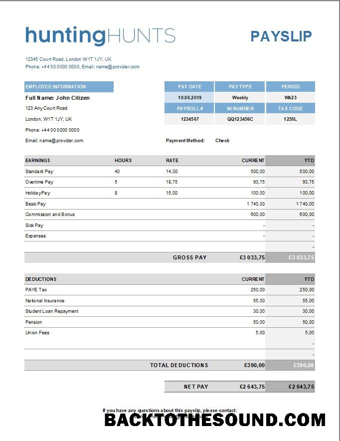 İndir hunting Şirket paystub in Excel and PDF Formatlar Örnek örnek