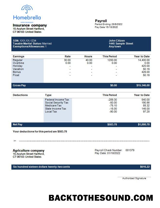 İndir Sigorta Şirket fully Düzenlenebilir earning Hesap Özeti in Word and PDF Formatlar Örnek taslak