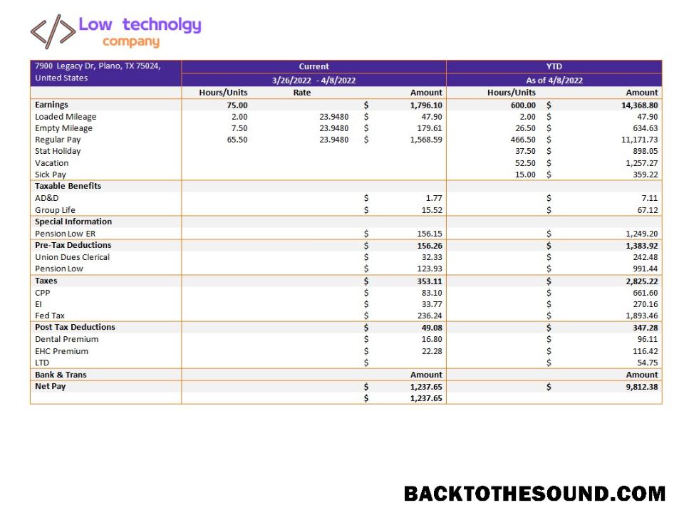 İndir low Teknoloji Şirket paystub in Word and PDF Formatlar Örnek şablon