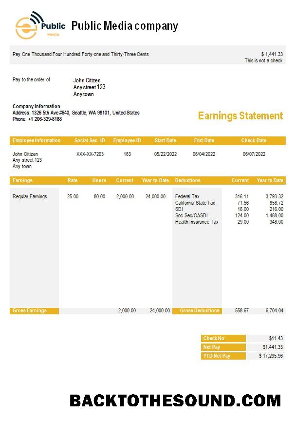 İndir public media Şirket earning Hesap Özeti in Word and PDF Formatlar Örnek tasarım