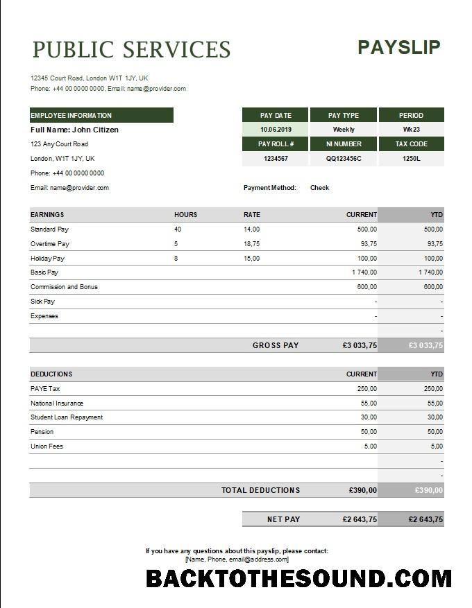 İndir public services corporation payslip in Excel and PDF Formatlar Örnek ön izleme