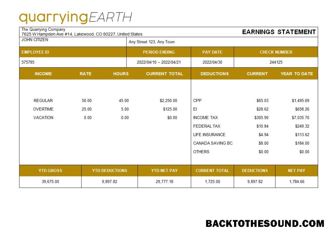 İndir quarrying Şirket fully Düzenlenebilir paystub in Word and PDF Formatlar Örnek tasarım