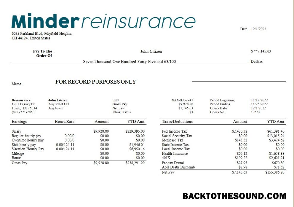 İndir reinsurance Şirket payroll in Word and PDF Formatlar Örnek örnek