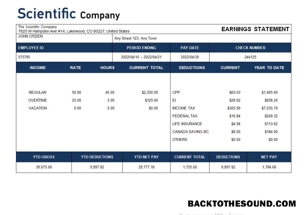 İndir scientific Şirket payroll Hesap Özeti in Word and PDF Formatlar Örnek ön izleme