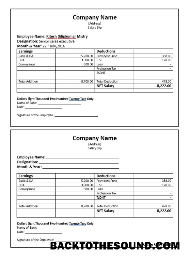 İndir senior Satışlar executive salary slip Word and PDF Ekran Örnek ön izleme