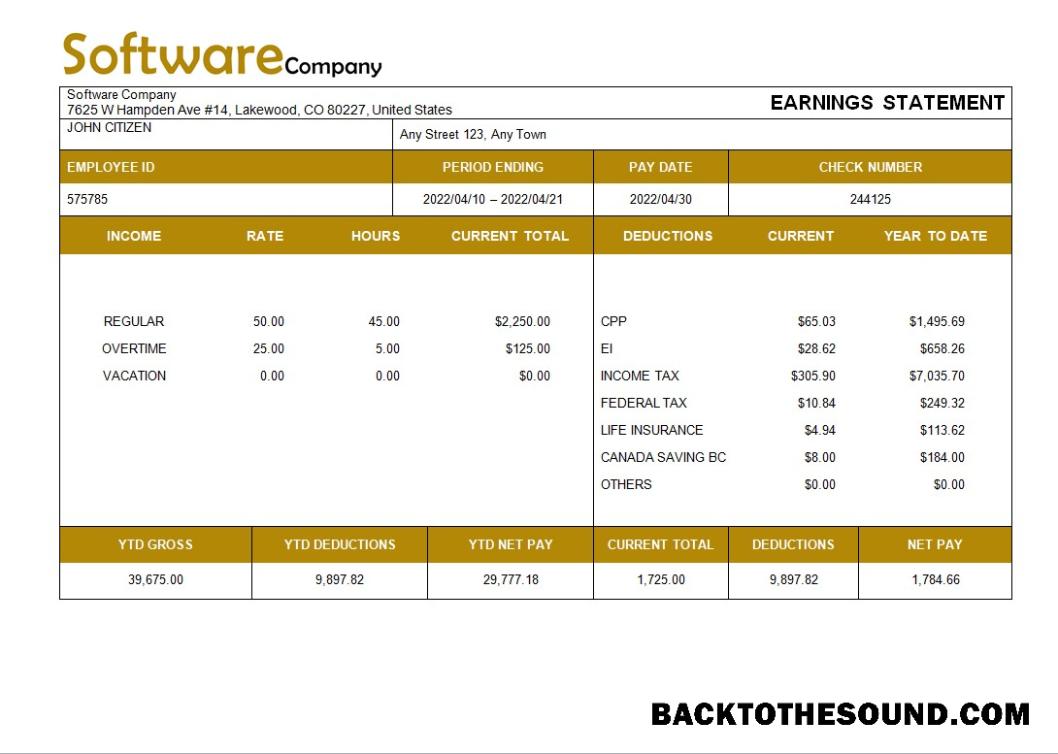 İndir Yazılım Şirket paystub in Word and PDF Formatlar Örnek şablon