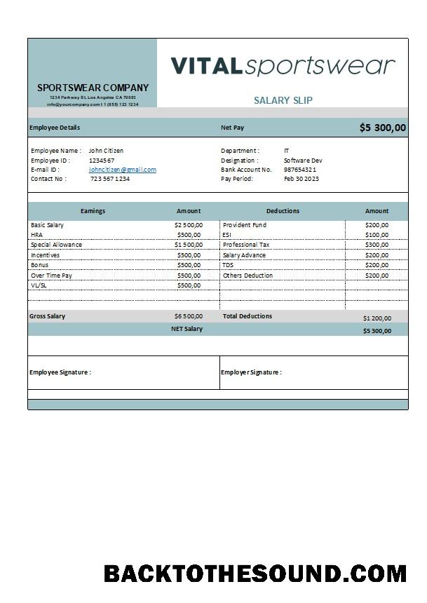 İndir sportswear Şirket earning Hesap Özeti in Excel and PDF Formatlar Örnek tasarım