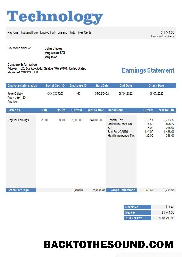 İndir Teknoloji Şirket paystub in Word and PDF Formatlar Örnek tasarım