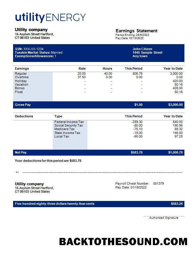 İndir Fatura Şirket payslip in Word and PDF Formatlar. Örnek ön izleme